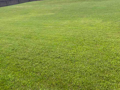 Lawn Care service in Winder, 30680