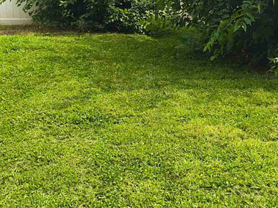 Lawn Care service in Highland, 62249