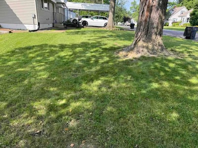 Lawn Care service in Highland, 62249
