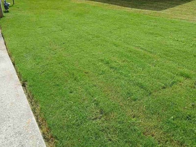 Lawn Care service in Corbin, 40701