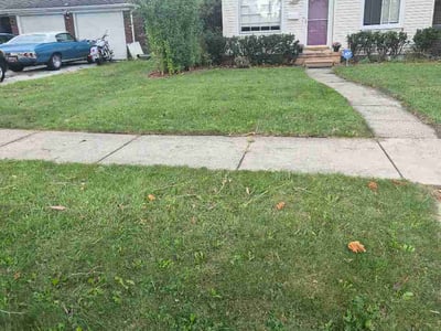 Lawn Care service in Oak Park, 48237
