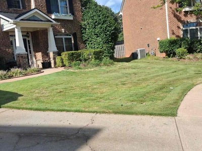Lawn Care service in Encino, 91316