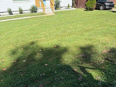 Lawn Care service in Encino, 91316