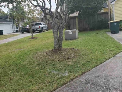 Lawn Care service in Calexico, 92231