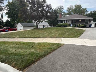 Lawn Care service in Lisle, 60532