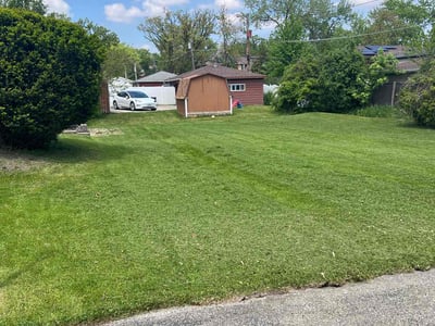 Lawn Care service in Lisle, 60532
