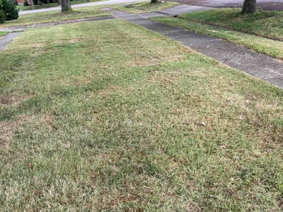 Lawn Care service in Waynesboro, 17268