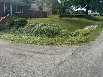 Lawn Care service in Radcliff, 40160