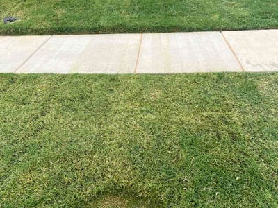 Lawn Care service in Blanchard, 73010