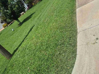 Lawn Care service in Turley, 74126