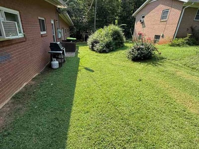 Lawn Care service in China Grove, 28023