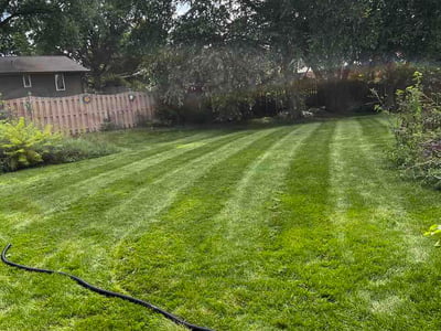 Lawn Care service in Fox Lake, 60020