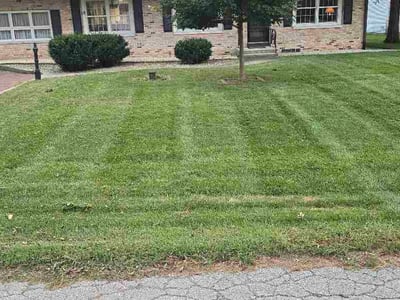 Lawn Care service in Joliet, 60432