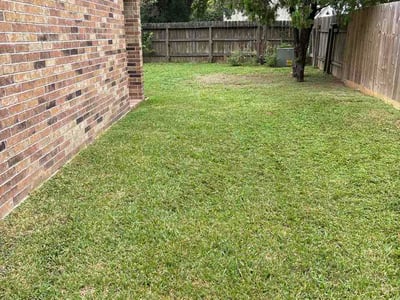 Lawn Care service in Windsor, 95492