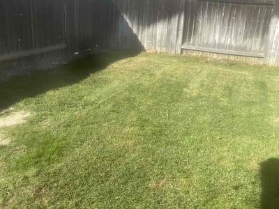 Lawn Care service in Big Bear Lake, 92315