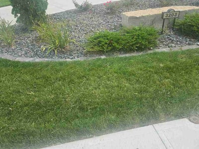 Lawn Care service in Big Bear Lake, 92315