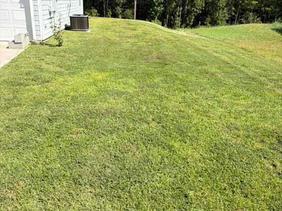 Lawn Care service in Havana, 32333