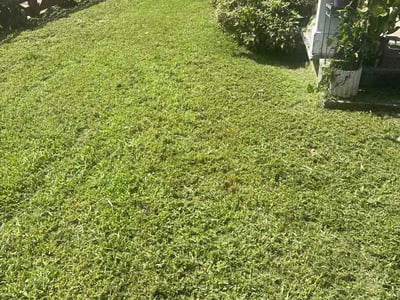 Lawn Care service in Princeton, 24740