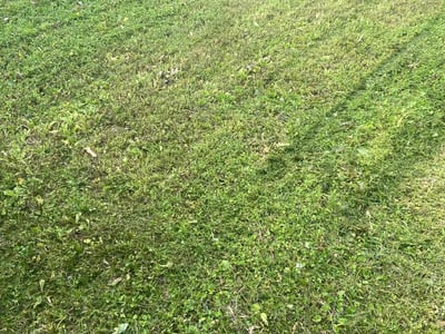 Lawn Care service in Woonsocket, 02895