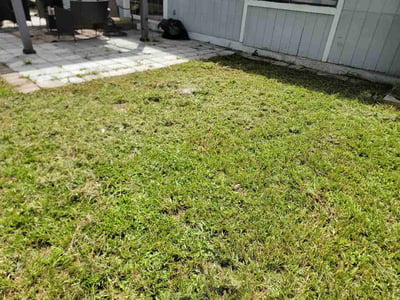 Lawn Care service in Havana, 32333