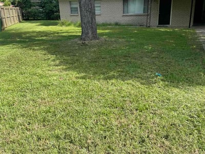 Lawn Care service in Benton, 72015