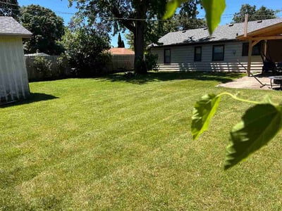 Lawn Care service in Hanover Park, 60133