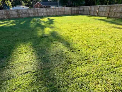 Lawn Care service in Tarzana, 91356