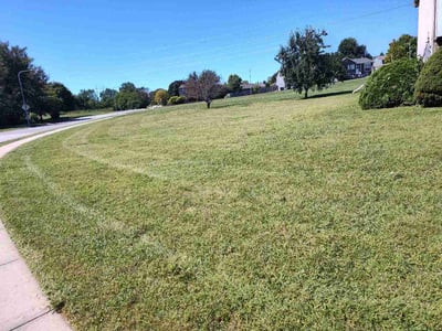 Lawn Care service in Tarzana, 91356