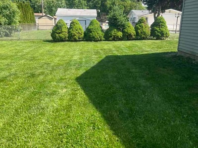Lawn Care service in Aurora, 60506