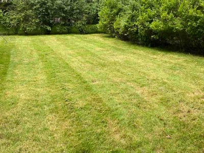 Lawn Care service in Penfield, 14526