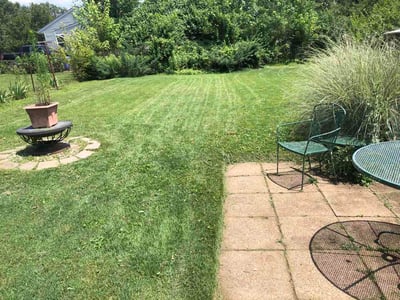 Lawn Care service in Washington, 63090