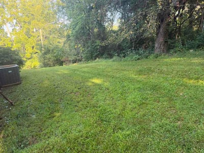 Lawn Care service in Waynesville, 28786