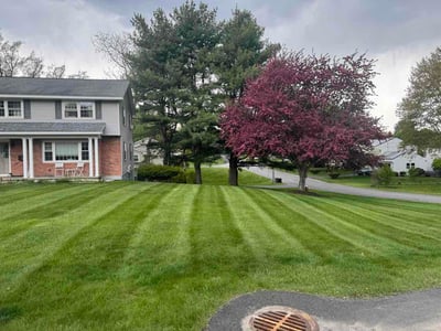 Lawn Care service in Ballston Spa, 12020