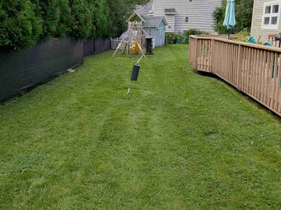 Lawn Care service in Ballston Spa, 12020