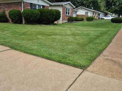 Lawn Care service in Saint Ann, 63074