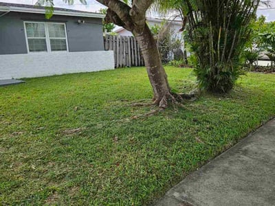 Lawn Care service in Las Vegas, 89101