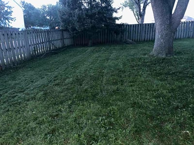 Lawn Care service in South Jordan, 84095