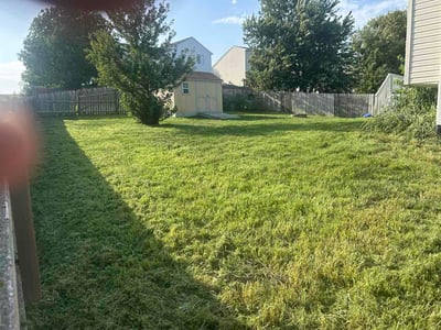 Lawn Care service in South Jordan, 84095