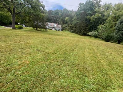 Lawn Care service in Arden, 28704