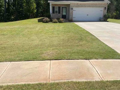 Lawn Care service in London, 40741