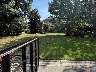 Lawn Care service in London, 40741