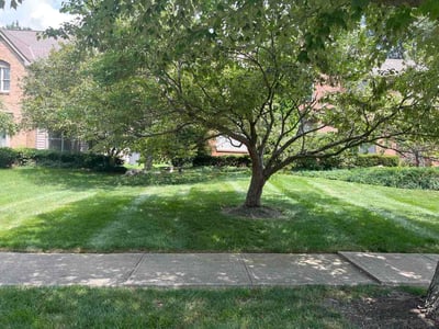 Lawn Care service in New Albany, 43054