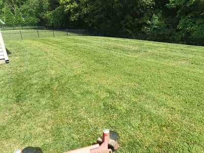 Lawn Care service in Ballantyne, 28277