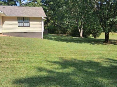 Lawn Care service in Jonesboro, 30236