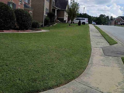 Lawn Care service in Jonesboro, 30236