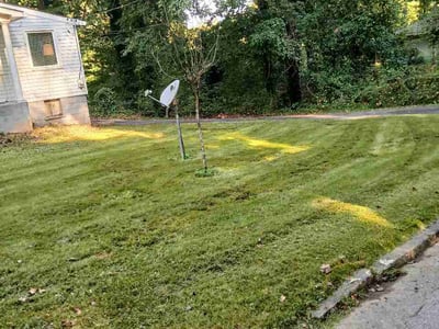 Lawn Care service in East Point, 30344