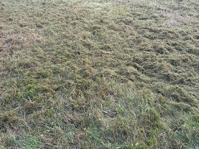 Lawn Care service in Attleboro, 02703