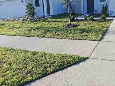 Lawn Care service in Winter Haven, 33881