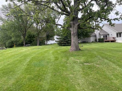 Lawn Care service in South Gate, 90280