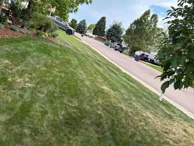 Lawn Care service in Middletown, 02842